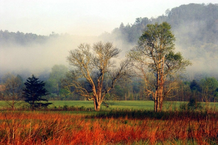 Cades Cove