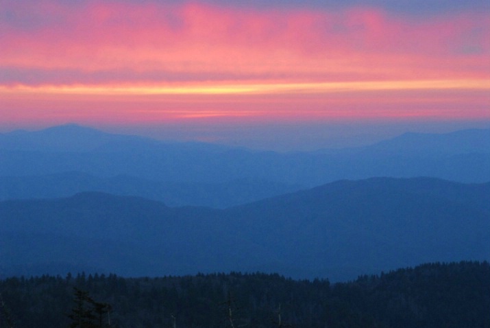 Smokies Morning