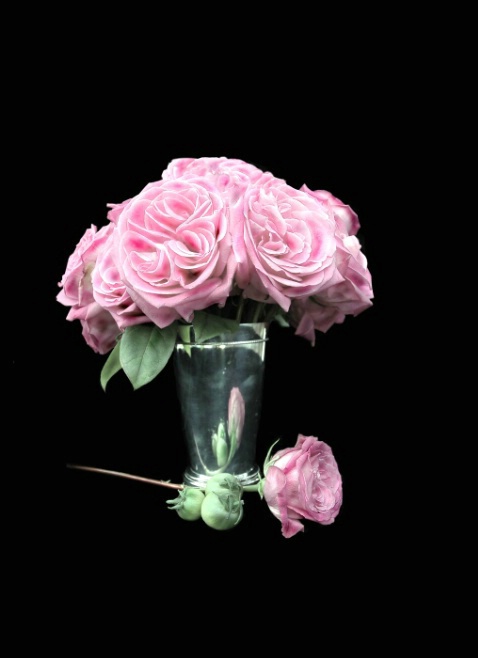 Roses & Silver Vase