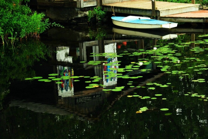 Boathouse Relections