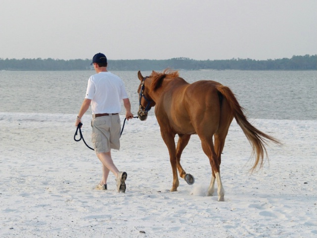 A horse and his man