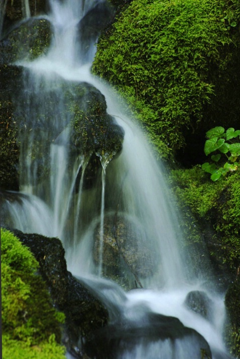 West Road Waterfall