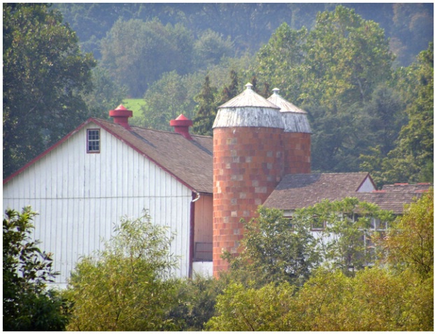 Two Silos #226