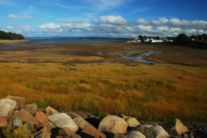 Fundy Low Tide