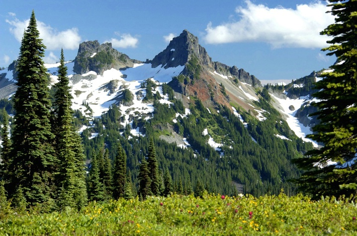 Mt. Ranier View