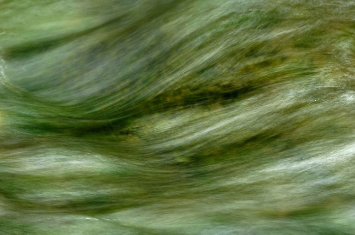 Green Abstract