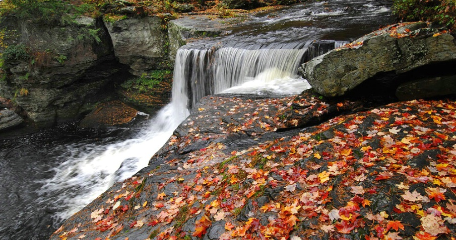 Water and Rock