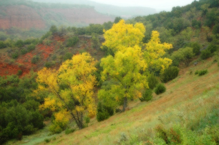 Overcast Day in Palo Duro Canyon