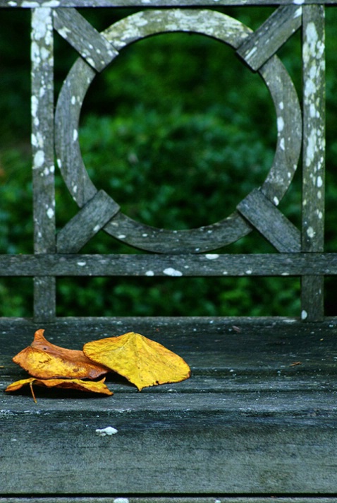 Garden Seat