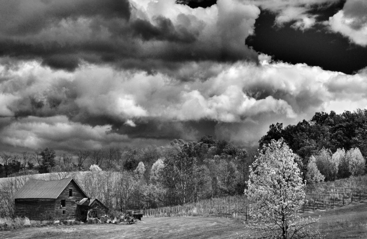 Rural Landscape