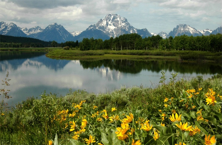 Inspiration at Oxbow Bend