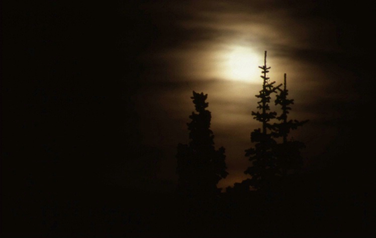 Moon Rise - Rocky Mountain National Park - Colorad