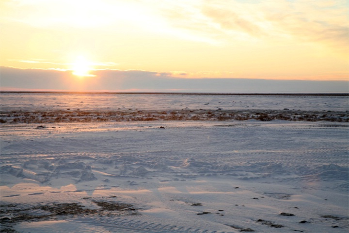 A golden glow on the tundra at Gordon Point