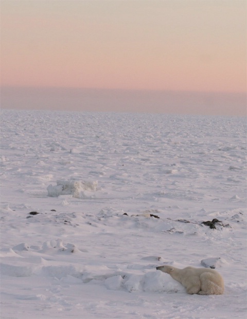 Sleeping at sunrise