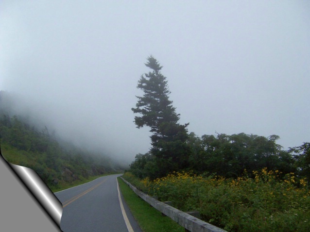 Mountain Fog