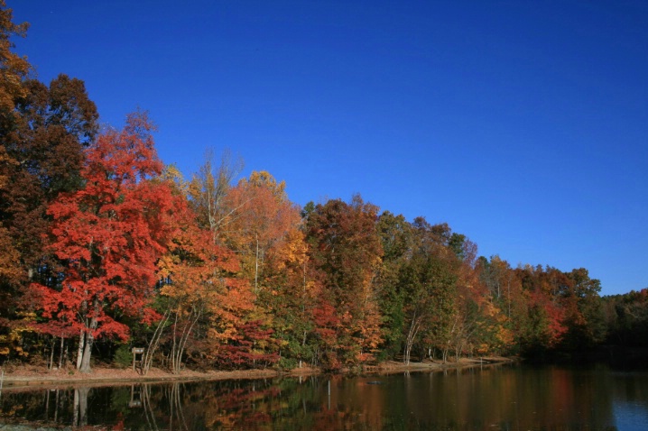 Fall Reflection