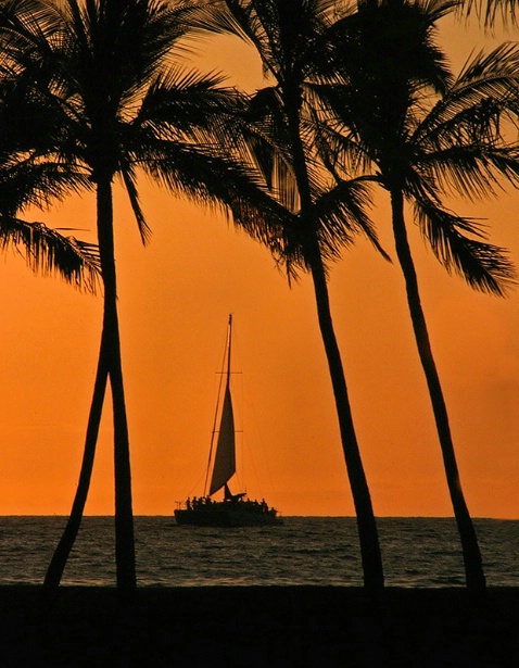 Sailing through Paradise 