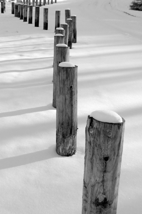 Snow & Posts