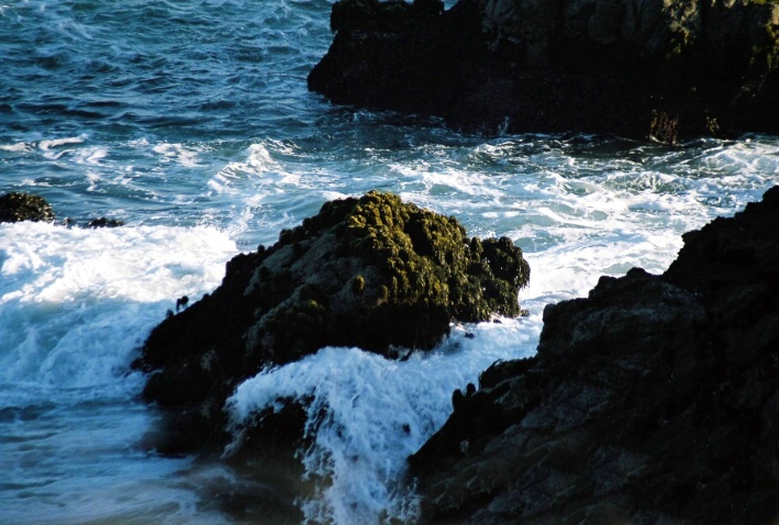 Bodega Bay, CA