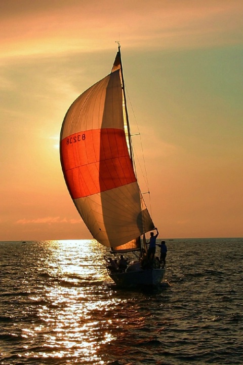 Sunset Sailing