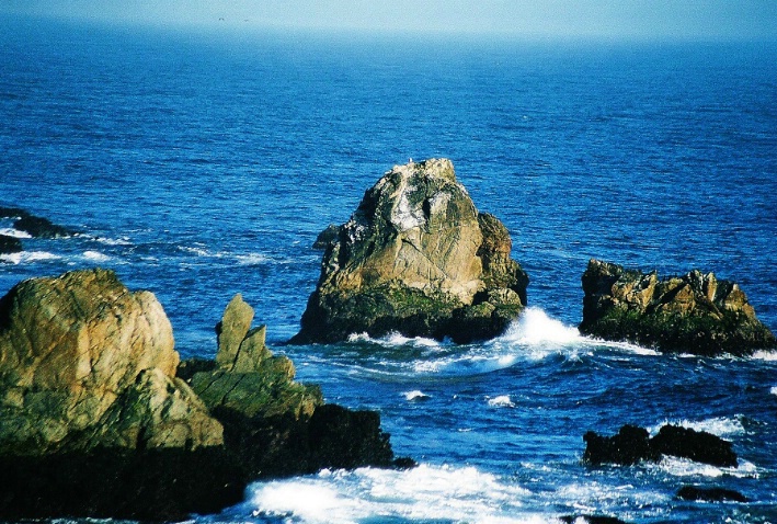 Bodega Bay, CA ~ July 2005