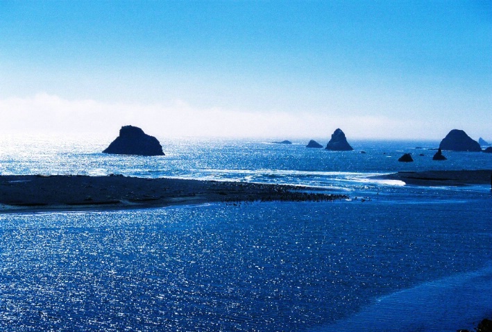 Goat Rock Beach, CA 