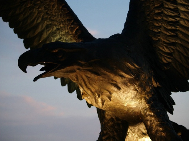 freedom