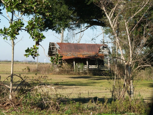 rustic