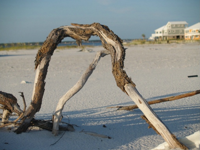 navarre beach
