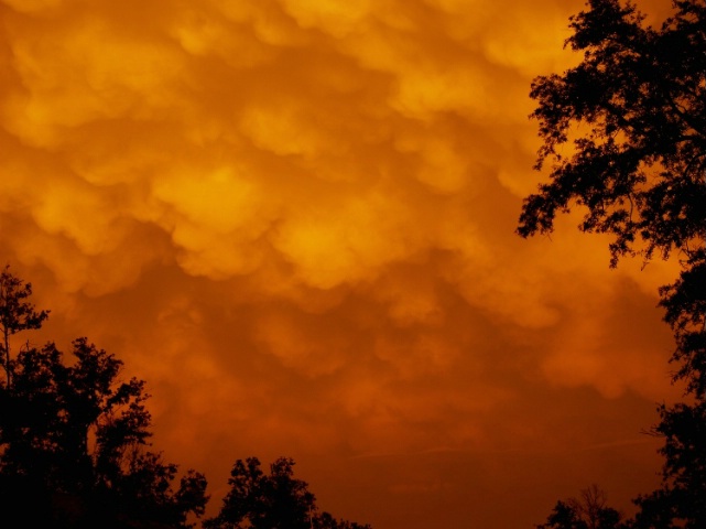 Mammatus Clouds