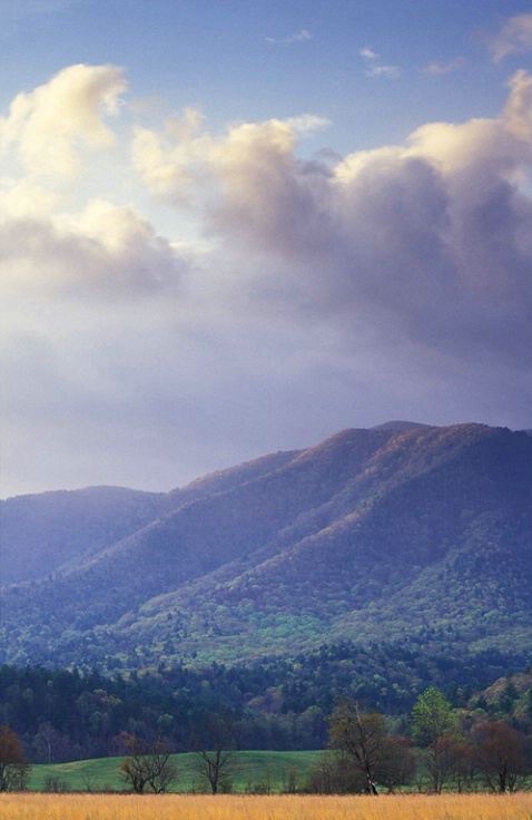 Cades Cove Mountains 1