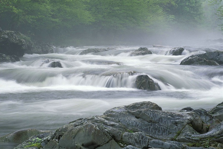 Greenbriar Misty Stream