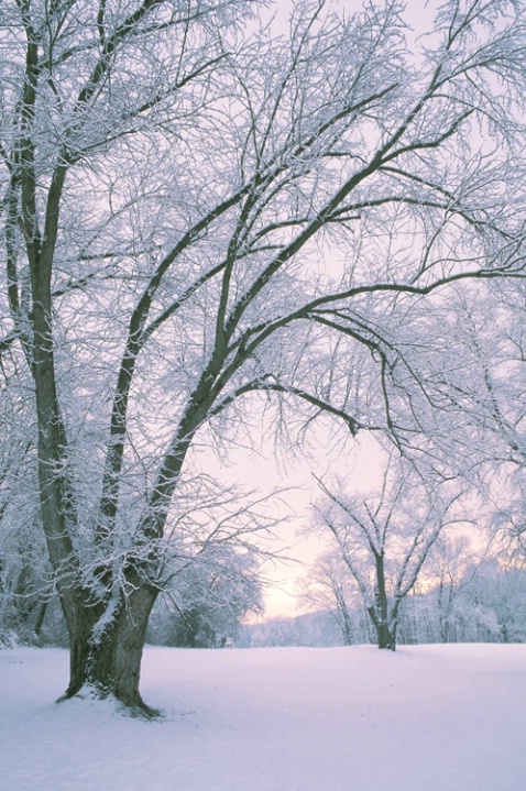 Snowy morning Liberty Reservoir