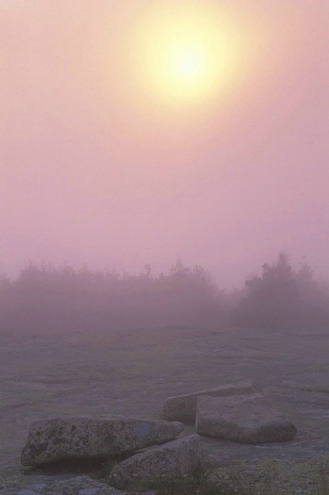 Cadillac Mtn. Sunset, Acadia National Park