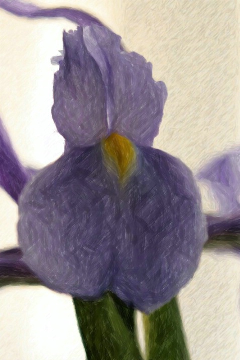 The Iris Spring Collection - Purple Sundress