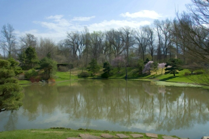 Lake view in early spring