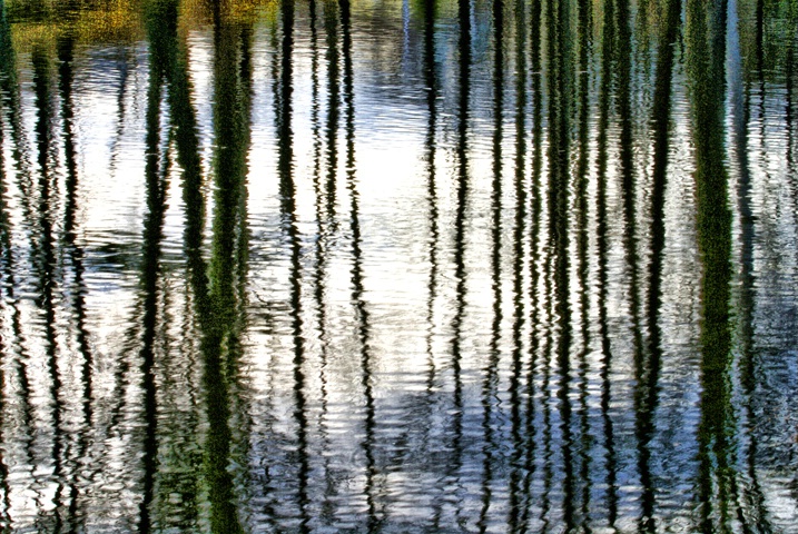 April Reflections