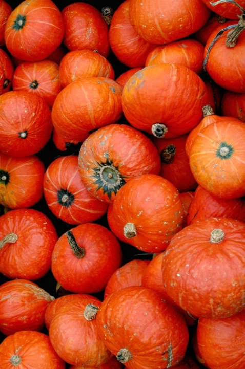 Pumpkins