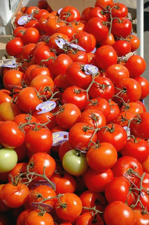 Farmer Market,Boston,MA