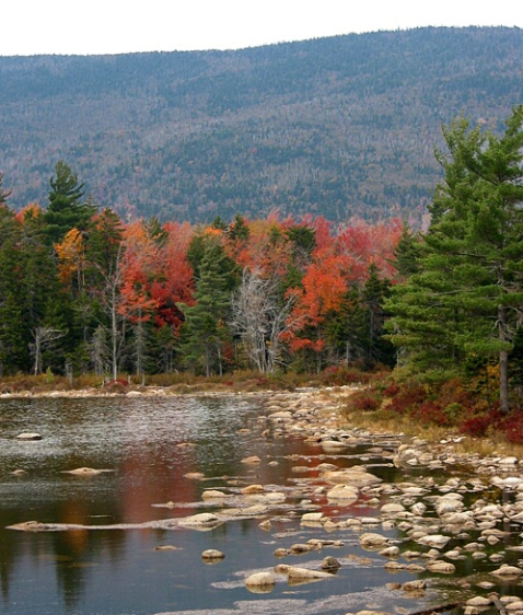 Kangamangus Hwy,White Mts,NH