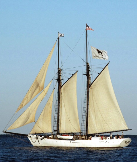 Black Dog SailBoat,Martha's Vineyard,MA