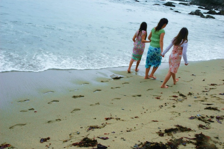 Sharing a Walk on the Beach