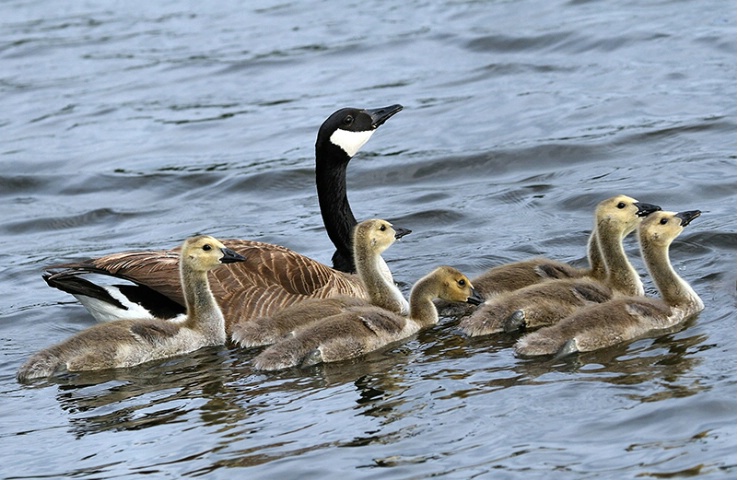 Moments with Mom