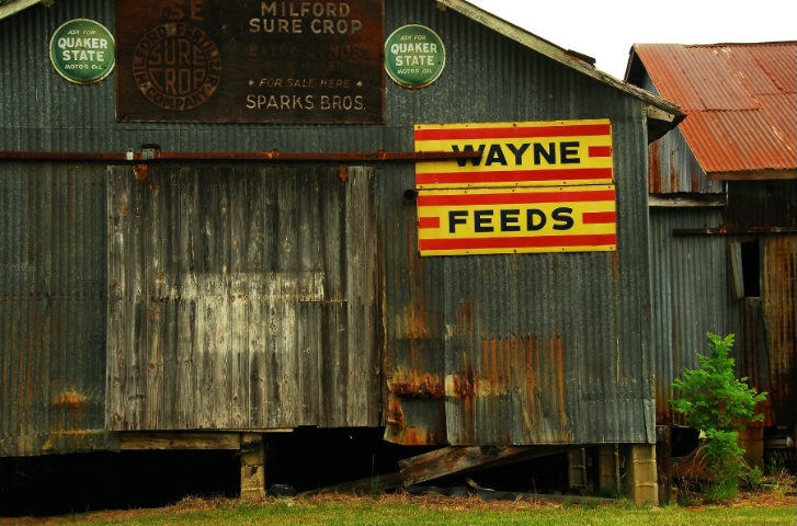 Wayne Feeds