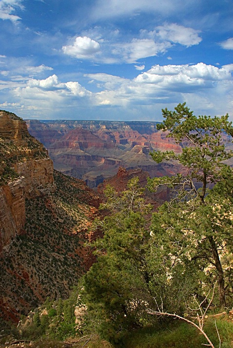 Grand Canyon