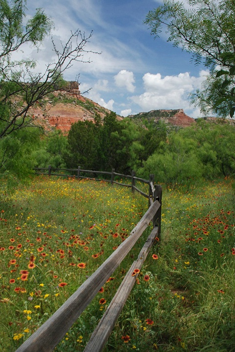 Spring in Palo Duro Canyon