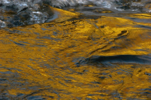 Golden Fall Reflections - Flowing Waters