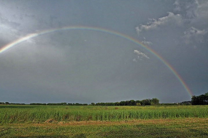 Calm After the Storm