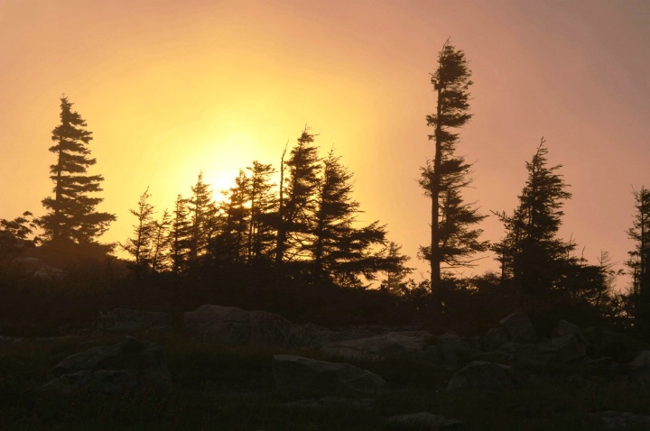 Dolly Sods Sunrise 1