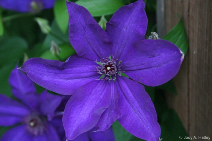 56
